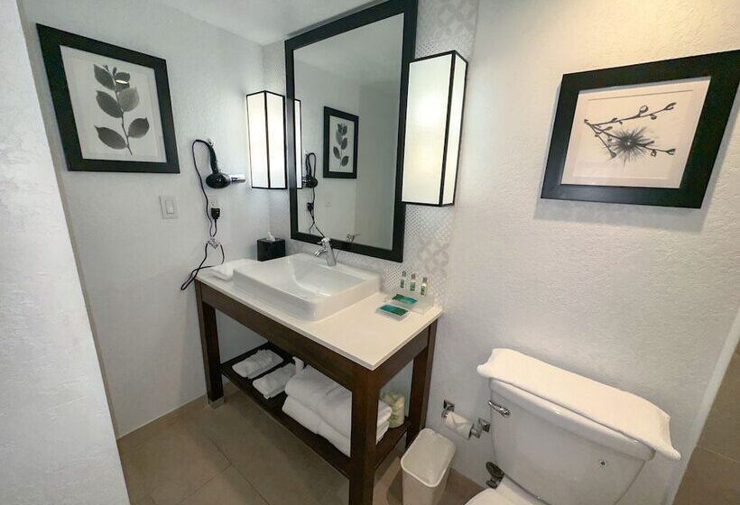 בית מלון כפרי The Palms Inn & Suites Miami, Kendall, Fl