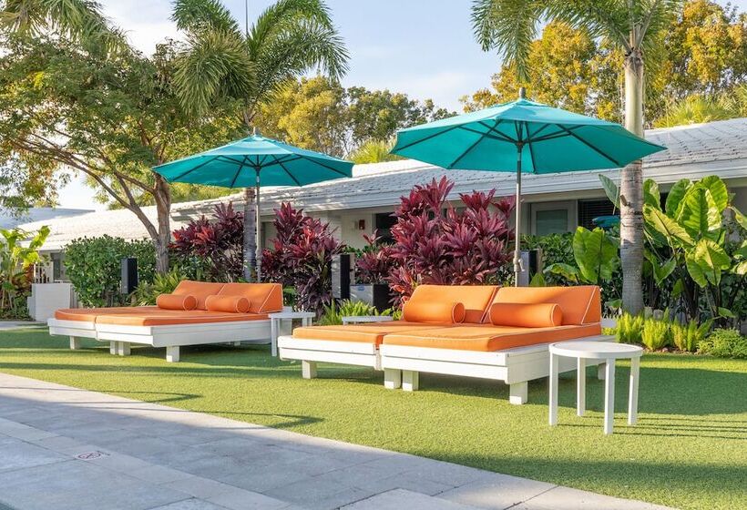 فندق The Vagabond