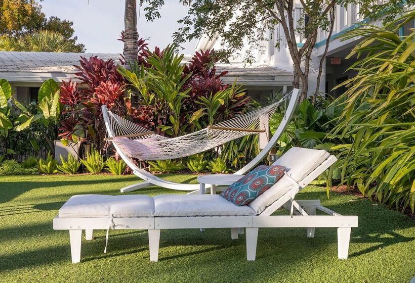 فندق The Vagabond