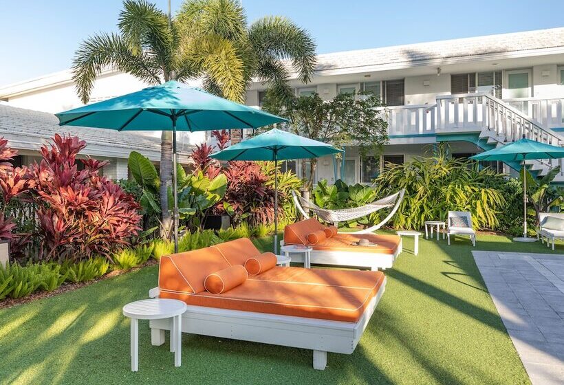 فندق The Vagabond