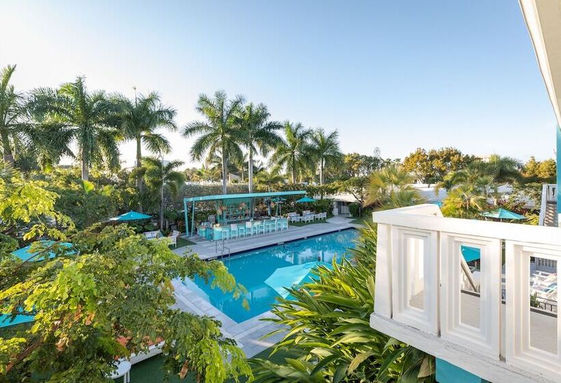 فندق The Vagabond