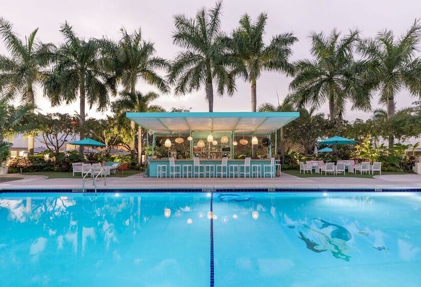 فندق The Vagabond