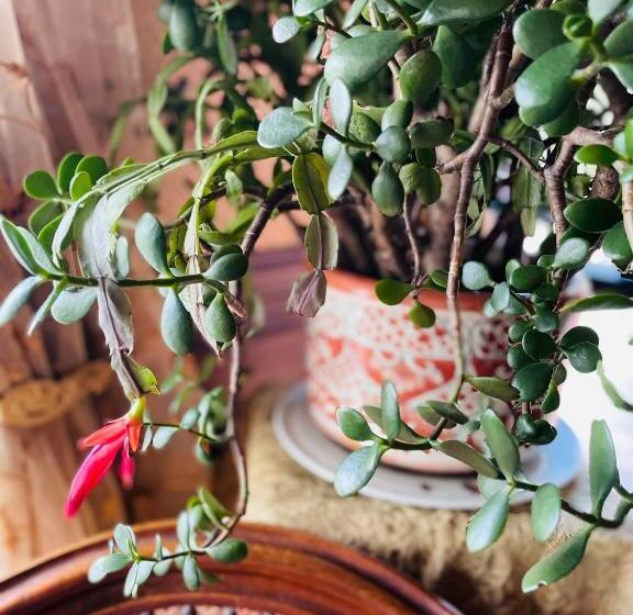 酒店 The Village Inn Of Woodstock