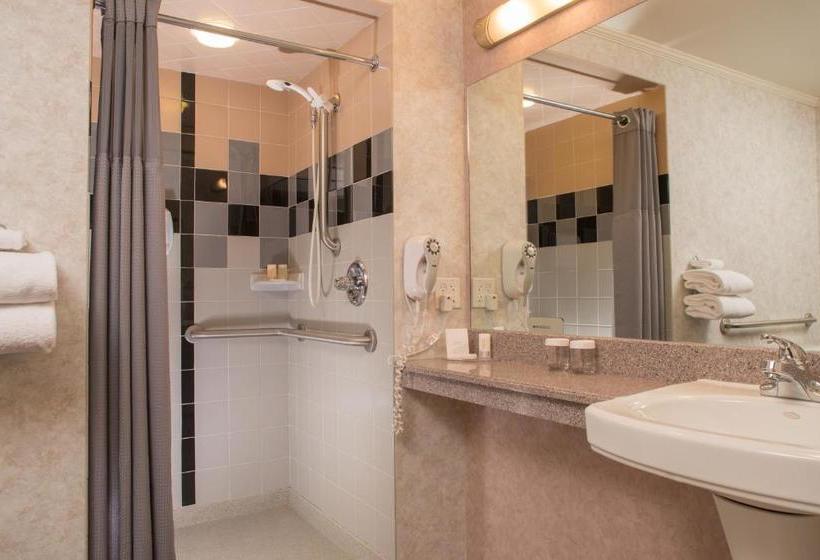 فندق The Voyager Inn