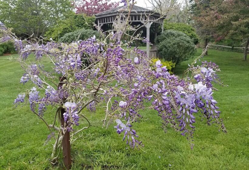 فندق Whalewalk Inn And Spa