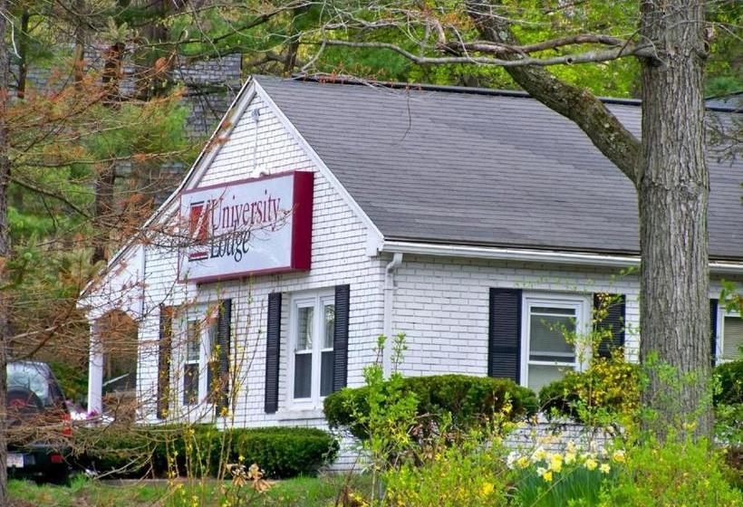 ホテル University Lodge