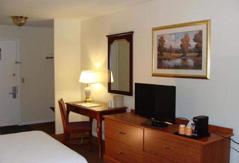 ホテル University Lodge