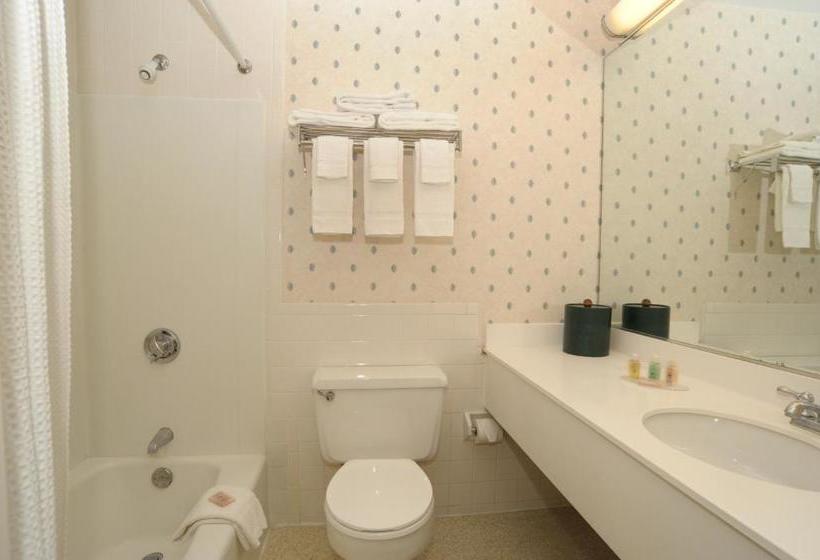 ホテル University Lodge