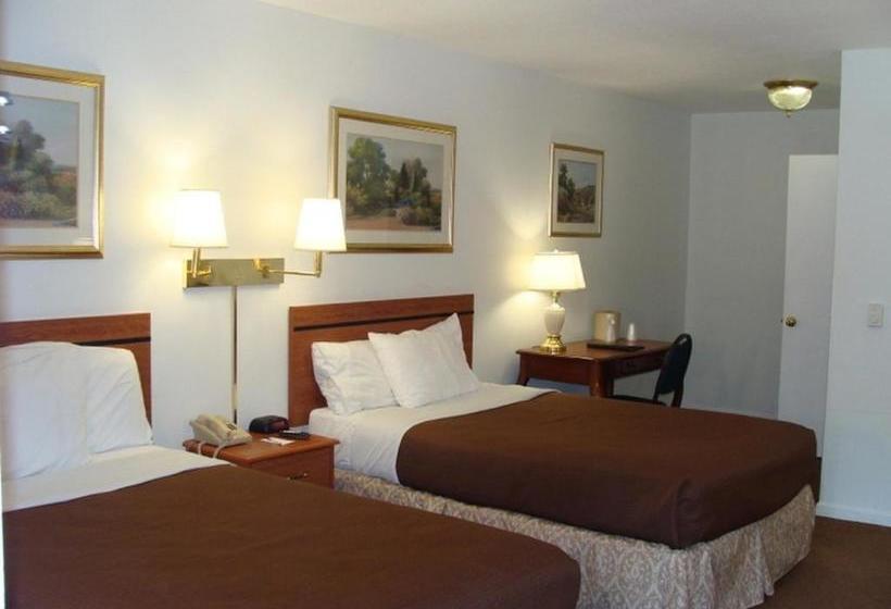 ホテル University Lodge