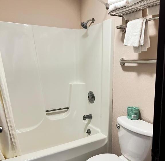 Отель Viking Arms Inn  Ludington