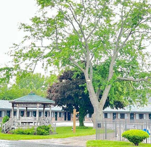 Отель Viking Arms Inn  Ludington