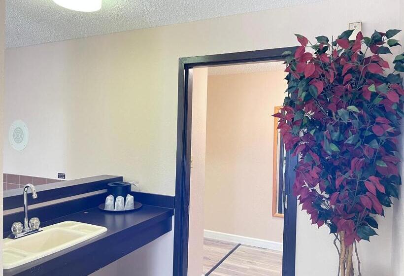 Отель Viking Arms Inn  Ludington