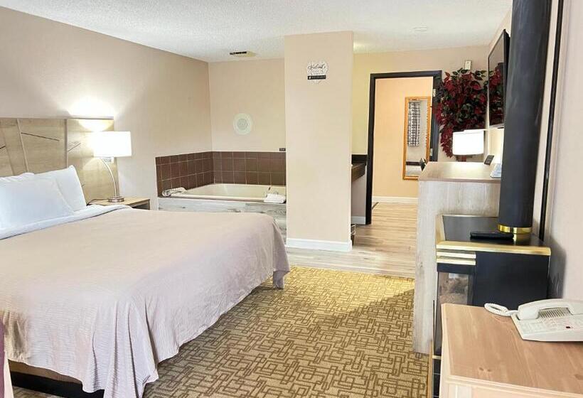 Отель Viking Arms Inn  Ludington