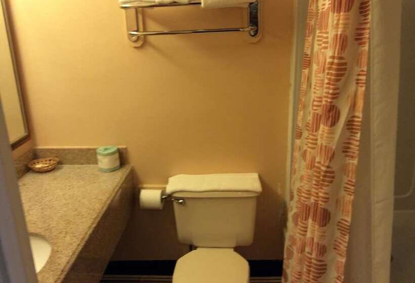 فندق Village Inn