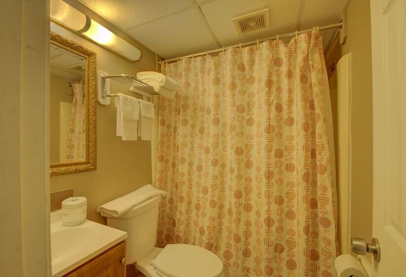 فندق Village Inn