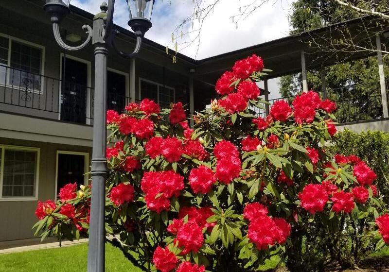 فندق Village Inn