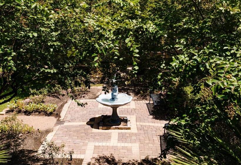 فندق Vineyard Court Designer Suites