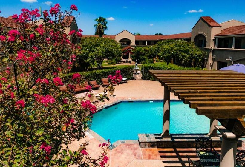 فندق Vineyard Court Designer Suites