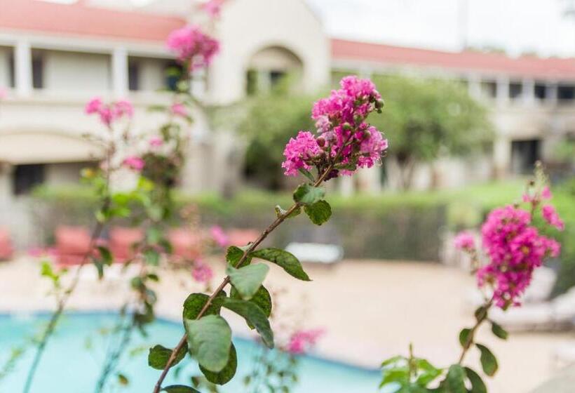 فندق Vineyard Court Designer Suites