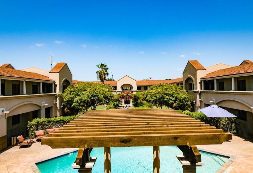 فندق Vineyard Court Designer Suites