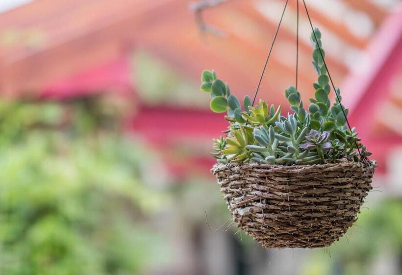 فندق Vineyard Court Designer Suites