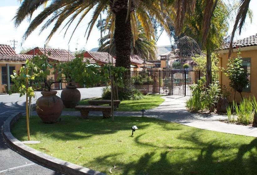 Отель Vineyard Inn