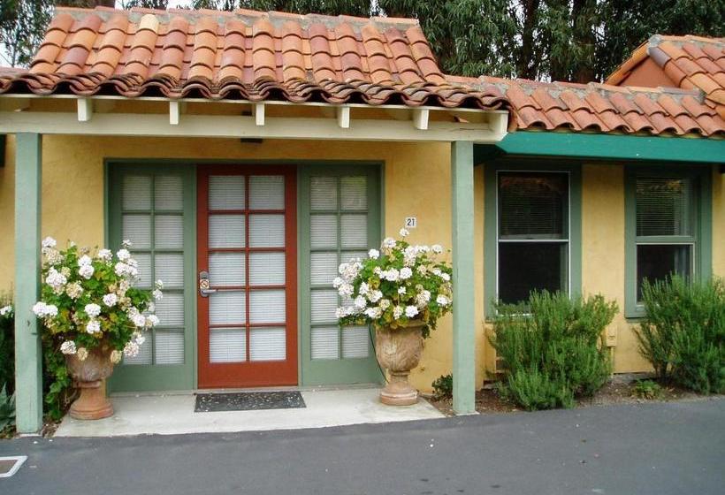 Отель Vineyard Inn