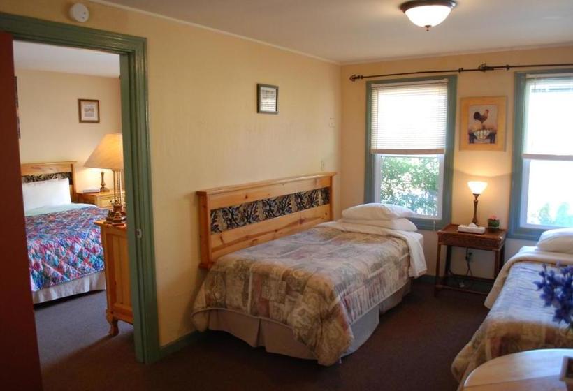 Отель Vineyard Inn