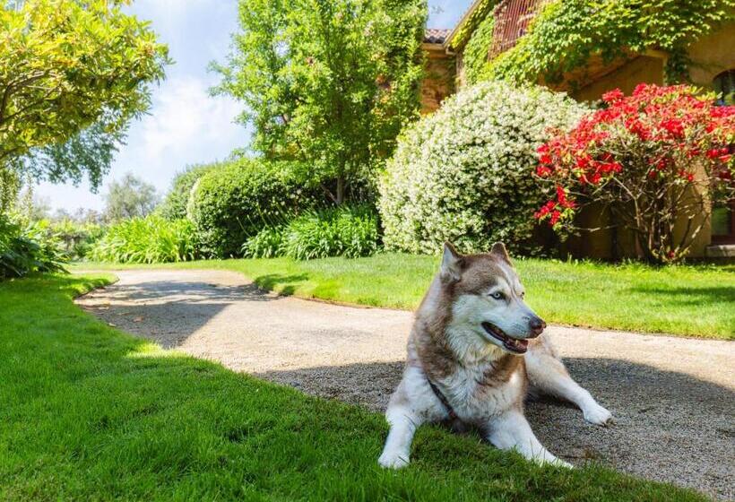 فندق Vintners Resort