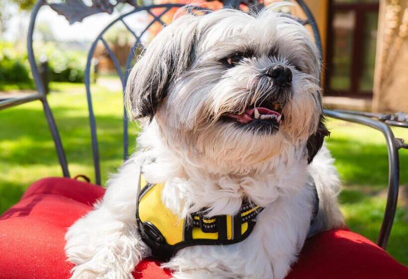 فندق Vintners Resort