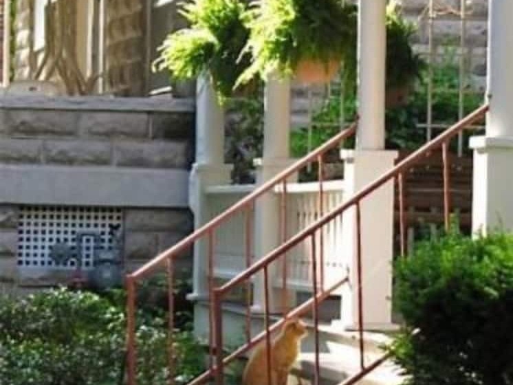 فندق Walnut Street Inn