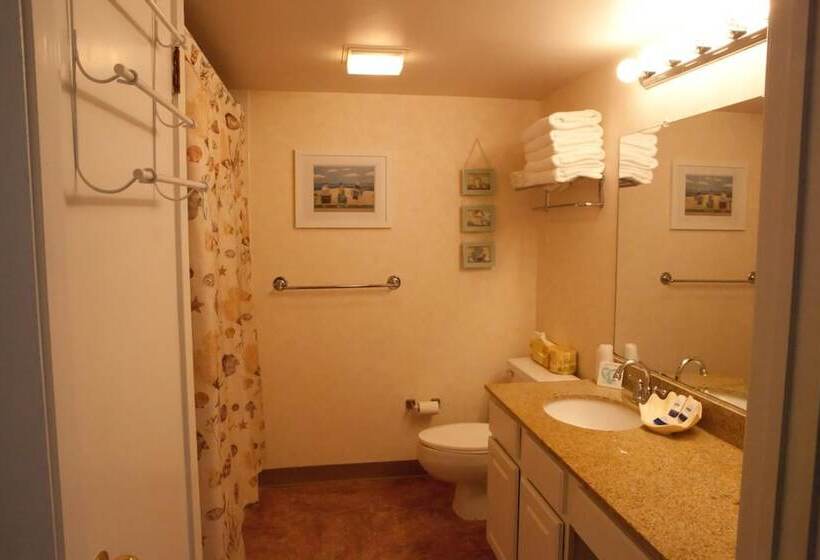 فندق Watson's Regency Suites