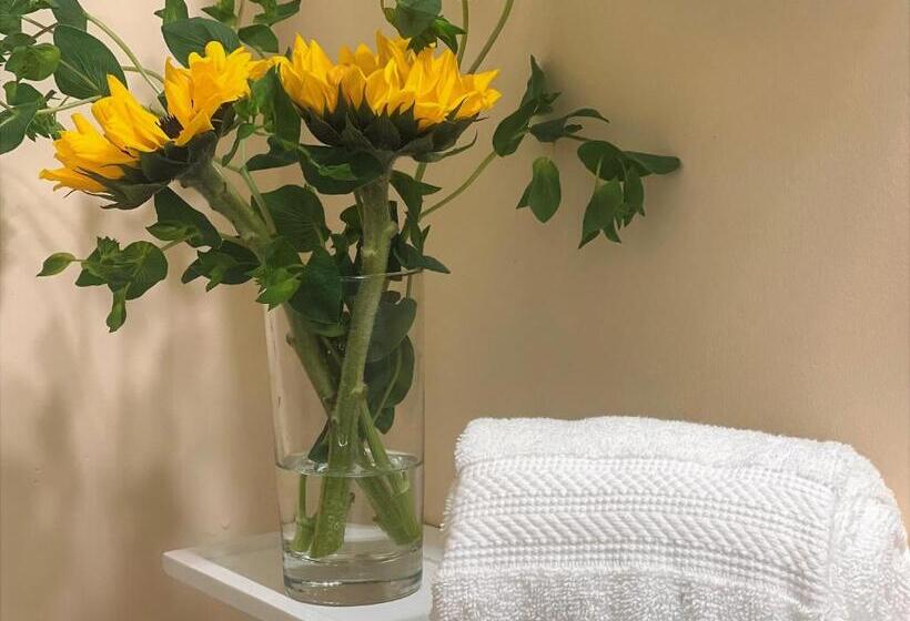 فندق White Horse Lodge