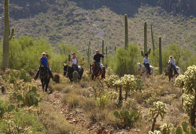 هتل White Stallion Ranch