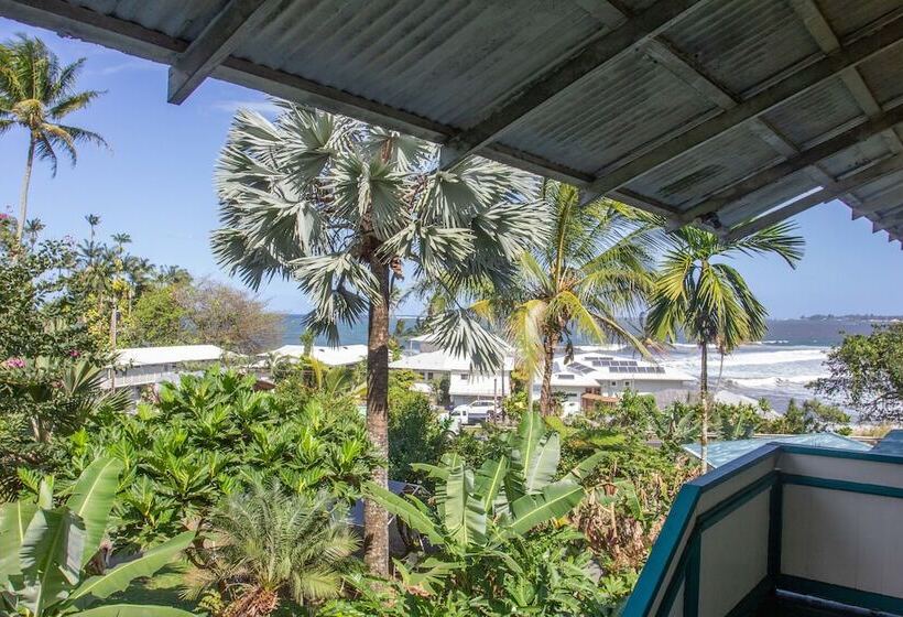 ホテル Wild Ginger