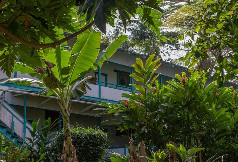 ホテル Wild Ginger