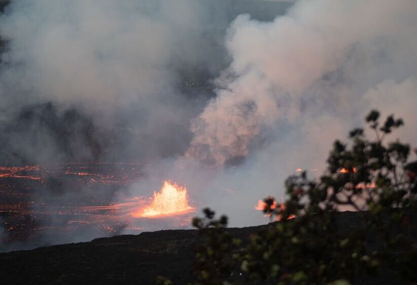 ホテル Wild Ginger