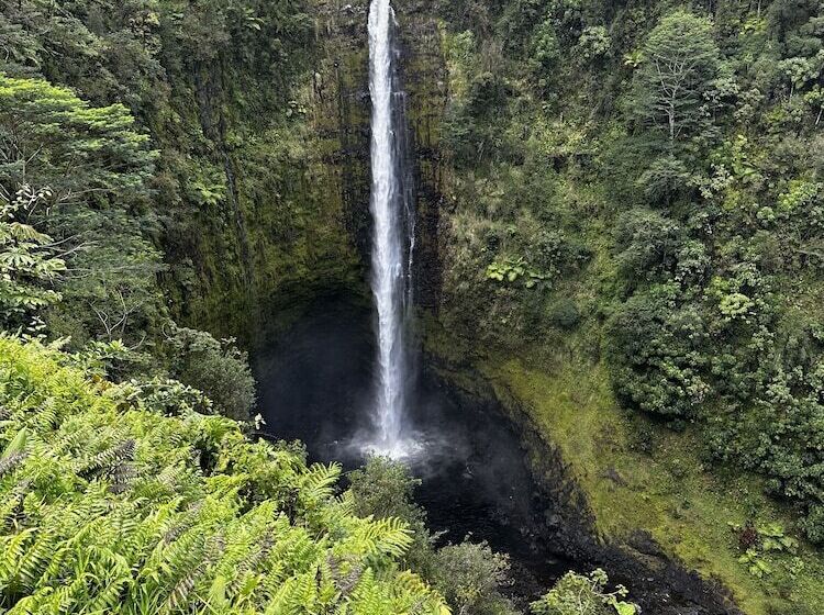 ホテル Wild Ginger