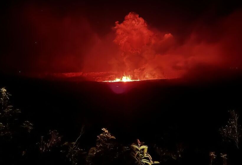 ホテル Wild Ginger