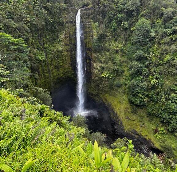 ホテル Wild Ginger