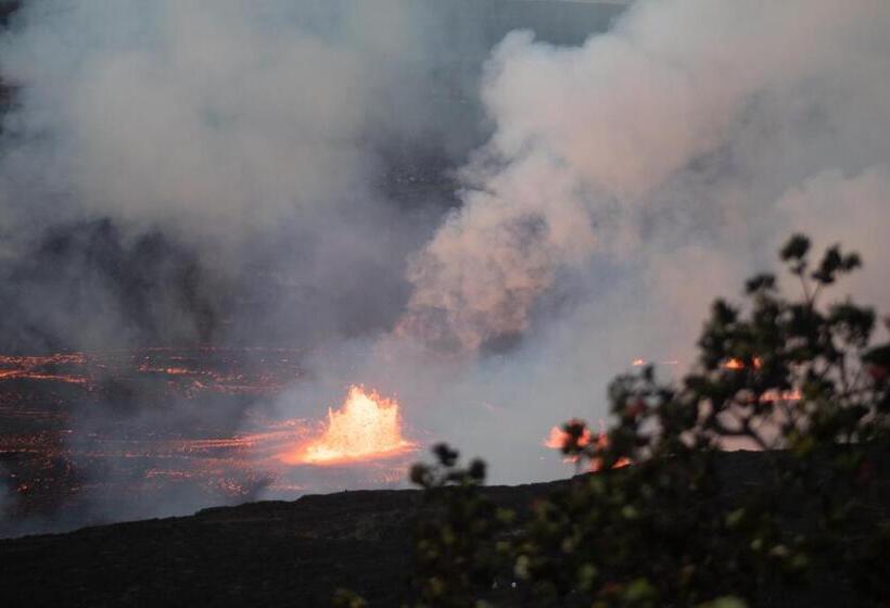 ホテル Wild Ginger