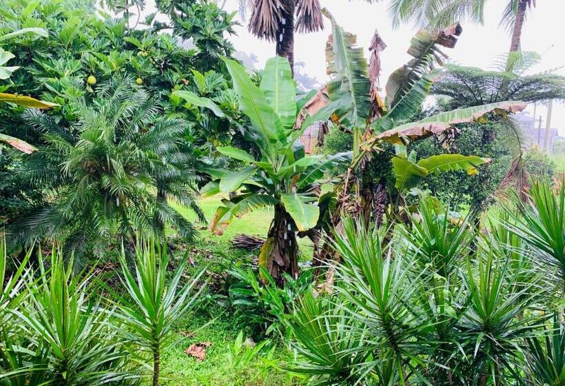 ホテル Wild Ginger