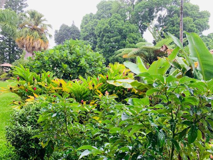 ホテル Wild Ginger