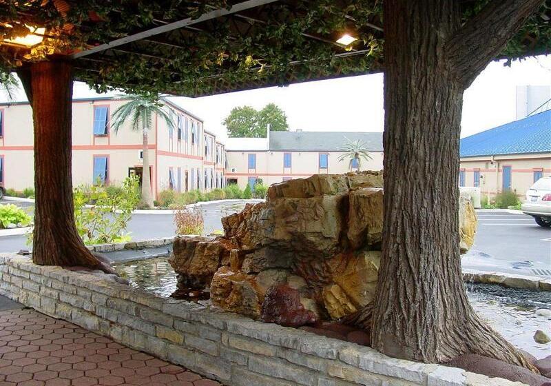 ホテル Wildwood Inn Tropical Dome & Theme Suites