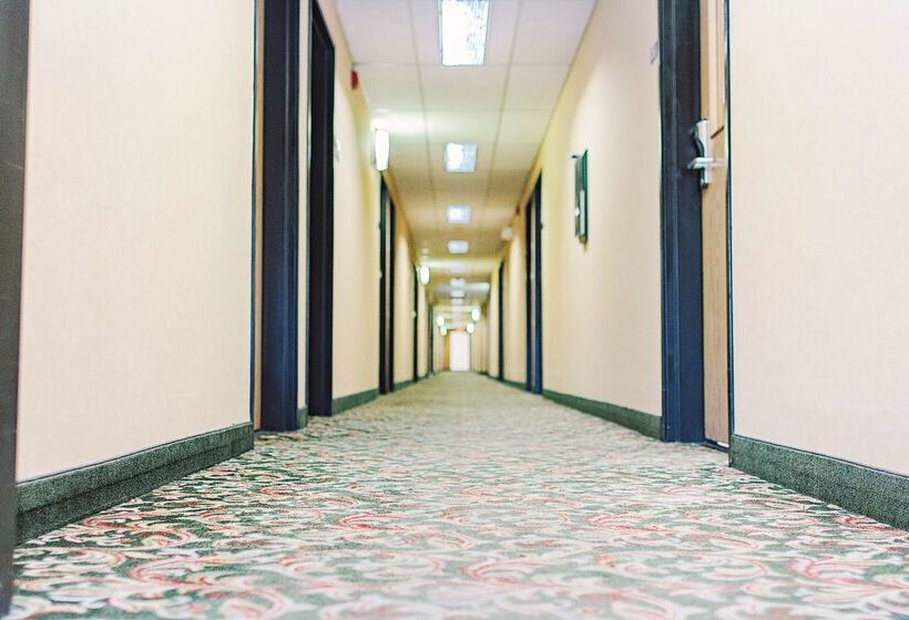 فندق على الطريق Lavissh Inn & Suites