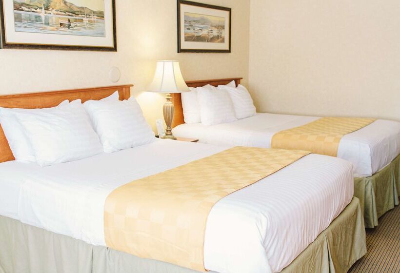 فندق على الطريق Lavissh Inn & Suites