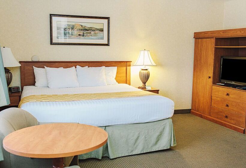 فندق على الطريق Lavissh Inn & Suites