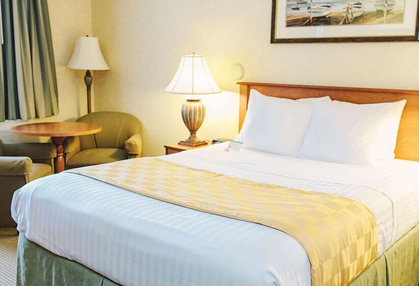 فندق على الطريق Lavissh Inn & Suites