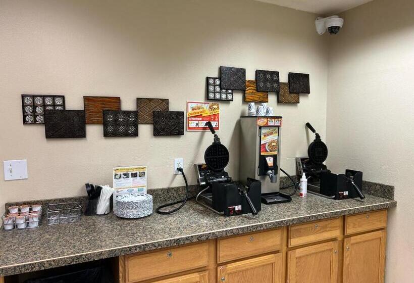 فندق على الطريق Lavissh Inn & Suites