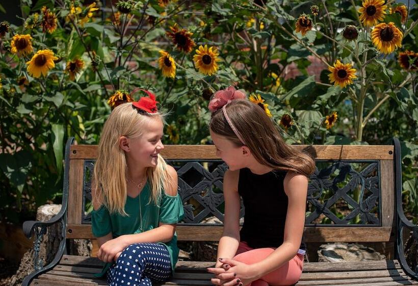 汽车旅馆  Silver Ridge Lodge